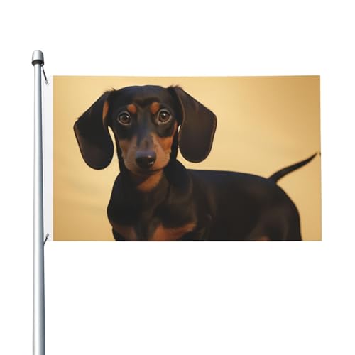 Süße Dackel-Gartenflagge, 90 x 150 cm, kein Verblassen, doppelseitige Hausflaggen, Outdoor-Banner, Dekoration für Innenhof, Veranda, Rasen Süße Dackel-Gartenflagge, 90 x 150 cm, kein Verblassen, doppelseitige Hausflaggen, Outdoor-Banner, Dekoration für Innenhof, Veranda, Rasen von BYPPJGH