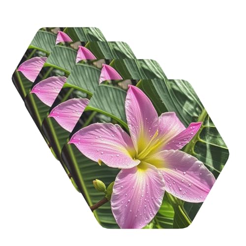 Untersetzer mit tropischen Hawaii-Blumen für Getränke, 4 Stück, Leder, Teetassen-Untersetzer, Getränkeuntersetzer für Tasse, Küche, Bar, Heimdekoration, Einweihungsgeschenk Untersetzer mit tropischen Hawaii-Blumen für Getränke, 4 Stück, Leder, Teetassen-Untersetzer, Getränkeuntersetzer für Tasse, Küche, Bar, Heimdekoration, Einweihungsgeschenk von BYPPJGH