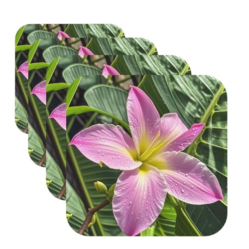 Untersetzer mit tropischen Hawaii-Blumen für Getränke, 4 Stück, Leder, Teetassen-Untersetzer, Getränkeuntersetzer für Tasse, Küche, Bar, Heimdekoration, Einweihungsgeschenk Untersetzer mit tropischen Hawaii-Blumen für Getränke, 4 Stück, Leder, Teetassen-Untersetzer, Getränkeuntersetzer für Tasse, Küche, Bar, Heimdekoration, Einweihungsgeschenk von BYPPJGH