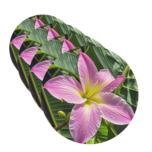 Untersetzer mit tropischen Hawaii-Blumen für Getränke, 4 Stück, Leder, Teetassen-Untersetzer, Getränkeuntersetzer für Tasse, Küche, Bar, Heimdekoration, Einweihungsgeschenk Untersetzer mit tropischen Hawaii-Blumen für Getränke, 4 Stück, Leder, Teetassen-Untersetzer, Getränkeuntersetzer für Tasse, Küche, Bar, Heimdekoration, Einweihungsgeschenk von BYPPJGH