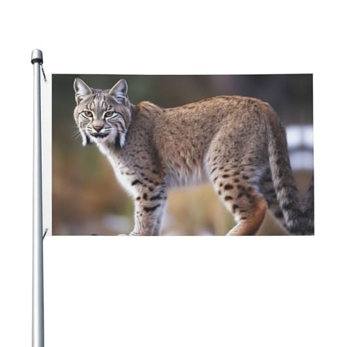 Wilder Bobcat Willkommens-Gartenflagge, 90 x 150 cm, kein Verblassen, doppelseitige Hausflaggen, Outdoor-Banner, Dekoration für Innenhof, Veranda, Rasen Wilder Bobcat Willkommens-Gartenflagge, 90 x 150 cm, kein Verblassen, doppelseitige Hausflaggen, Outdoor-Banner, Dekoration für Innenhof, Veranda, Rasen von BYPPJGH