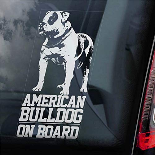 BYRON HOYLE American Bulldog 'Beware of The Dog' Vinyl Autoaufkleber Weiße Stoßstange, Fenster, Spiegel, Metall, Kunststoff, Holz Wasserdicht, 1 Stück von BYRON HOYLE