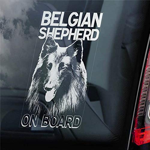 Autoaufkleber mit Belgischer Schäferhund an Bord, Groenendael Chien de Berger Hundeschild Aufkleber Kunst Auto Aufkleber Vinyl Aufkleber Fenster Aufkleber Stoßstange Aufkleber Autoaufkleber mit Belgischer Schäferhund an Bord, Groenendael Chien de Berger Hundeschild Aufkleber Kunst Auto Aufkleber Vinyl Aufkleber Fenster Aufkleber Stoßstange Aufkleber von BYRON HOYLE