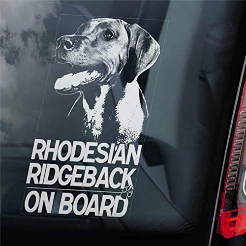 Rhodesian Ridgeback on Board Autoaufkleber afrikanischer Löwe Hund Schild Aufkleber Auto Aufkleber Vinyl Aufkleber Fenster Aufkleber Stoßstange Aufkleber von BYRON HOYLE