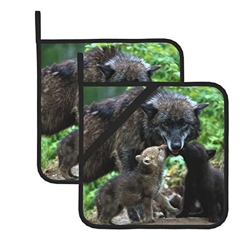 Wolf Topflappen Set mit 2 hitzebeständigen und umweltfreundlichen Küchen, zweiteiliges Topflappen-Set von BYTKMRY