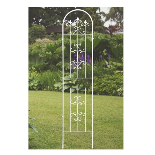 BZCKBZ Metall Rankhilfe, Rankhilfen, Rostfreies, Stabiles Metallspalier für Rasen im Freien, Garten, Hinterhof, Kletterpflanzen, schwarz, Weiß (Color : White, Size : 180 * 50CM/70.9 * 19.7in) von BZCKBZ