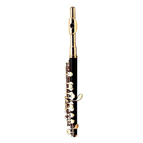 BZVCRTYKL Piccoloflöte Halbkupfer -C Bond Tone mit Kissenpatronengehäuse Treiber for Festivals und Musik /1827 BZVCRTYKL Piccoloflöte Halbkupfer -C Bond Tone mit Kissenpatronengehäuse Treiber for Festivals und Musik /1827 von BZVCRTYKL