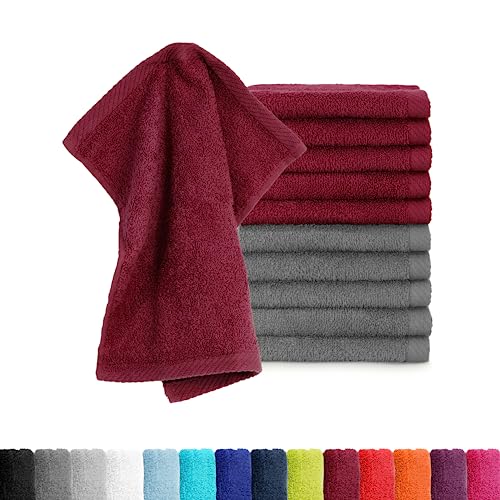 BaSaTex - 10er Pack Seiftücher für Gesichts- & Körperreinigung im Set - Frottee Seiflappen aus Baumwolle in 30x30cm - Waschlappen Öko-Tex Made in Green Zertifiziert - Anthrazit Bordeaux von BaSaTex