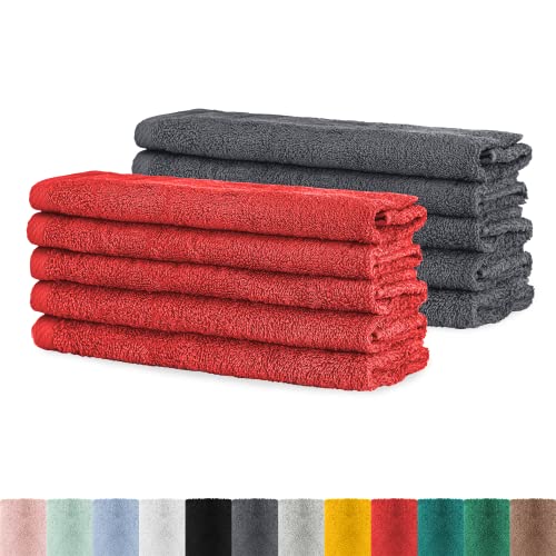 BaSaTex - Handtuch Set für Gäste 10er Pack - Frottee-Handtücher mit Aufhängeschlaufe aus weicher Baumwolle in 30x50cm - Waschtücher für Gäste Öko-Tex Standard 100 Zertifiziert - Anthrazit & Rubin von BaSaTex