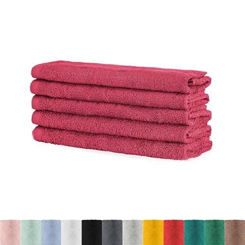 BaSaTex - Handtuch Set für Gäste 5er Pack - Frottee-Handtücher mit Aufhängeschlaufe aus weicher Baumwolle in 30x50cm - Waschtücher für Gäste Öko-Tex Standard 100 Zertifiziert - Rubin von BaSaTex