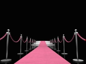 Rosa Eventteppich VIP Carpet Läufer Teppich Empfangsteppich in Breite 1,5 m und Länge 15 m von Babat