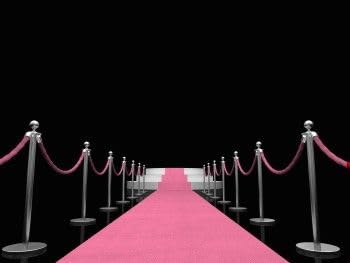 Rosa Eventteppich VIP Carpet Läufer Teppich Empfangsteppich in Breite 1,5 m und Länge 20 m von Babat