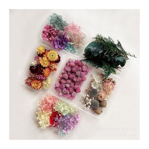 Babhlora Getrocknete Blumenbox, Ewiger Duft, DIY-Fotorahmen, Fächer, Kerze, Blumenmaterialpaket, 3 Sets(Mixed abbit Tail Grass) von Babhlora