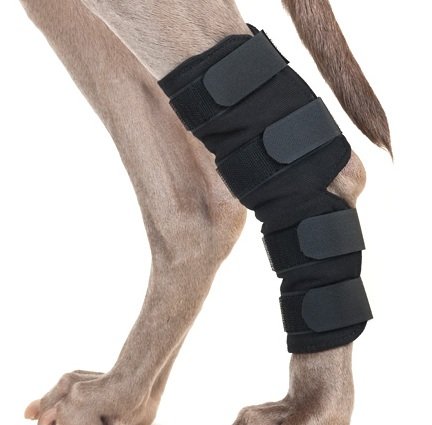 Back on Track Dog Hock Brace, pair Back on Track Dog Hock Brace, pair von Back on Track