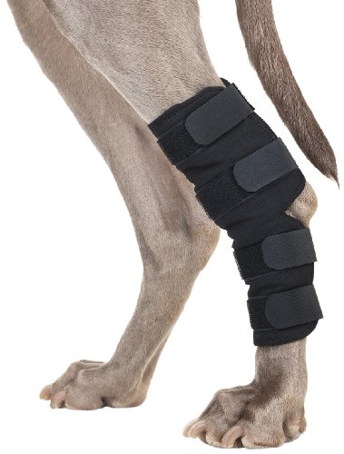 Back on Track Therapeutische Hund hinten Bein/Hock Bandage (Paar) klein 7.25-inch Länge, 4 bis 15,9 cm Breite Oben, 3 bis 4.75-inches Breite unten mit 4 verstellbaren Klettverschluss von DOG Copenhagen