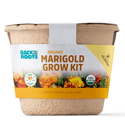 Back to Roots Bio Ringelblume Grow Kit von Back to the Roots