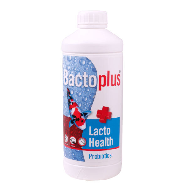 Bactoplus Lacto Health 1 Liter (Milchsäurebakterien) von Bactoplus