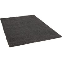 Hochflorteppich Pisa anthrazit B/L: ca. 80x150 cm von XXXL