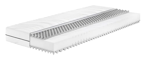 Badenia Trendline BT260 7-Zonen Kaltschaummatratze, Stiftung Warentest Testurteil GUT Ausgabe 03/2022 , Härtegrad 2 (H2 - weich), 80 x 200 cm, Öko-Tex Zertifiziert Badenia Trendline BT260 7-Zonen Kaltschaummatratze, Stiftung Warentest Testurteil GUT Ausgabe 03/2022 , Härtegrad 2 (H2 - weich), 80 x 200 cm, Öko-Tex Zertifiziert von Badenia Trendline