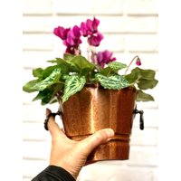 Vintage Kupfer Pflanzer | Kupferübertopf Mit Henkel Retro Jardinière Blumentopf Gartenzubehör Pflanzenübertopf Kräutertopf Topf von BadepralineOnTour
