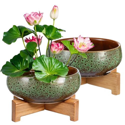 Baderke 2 Stück Lotus-Schüssel mit Sockel, Keramik, Hydrokultur-Pflanzgefäß, Seerosenschale zum Pflanzen von Wasser- und Zimmerpflanzen, Haushalts-Keramikbecken, Dekor (grün) von Baderke