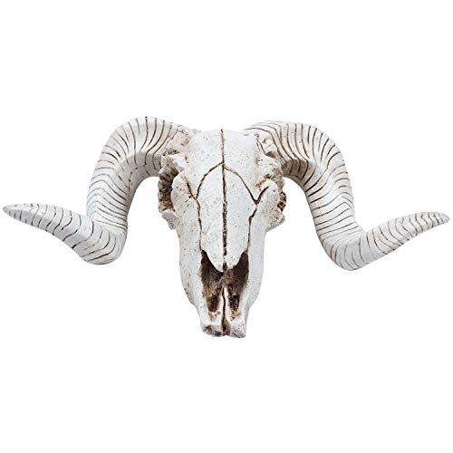 Baeroprki Kreative Harz Schaf Kopf Schädel Kopf Wand Behang 3D Tier Longhorn Langhörnig Skulptur Figuren Hörner Haus Dekor Verzierungen von Baeroprki