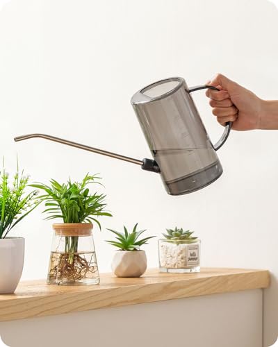 Baffect 1 Liter Gießkanne, klare zylindrische Gießkanne mit Edelstahl-Ausguss Gartenanlage Bewässerung Werkzeug für Zimmerpflanzen Schreibtisch Pflanzen Indoor und Outdoor von Baffect