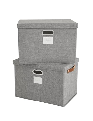 Bagnizer Aufbewahrungsboxen mit Deckel Faltbare 2PCS Stoff Große Aufbewahrungskörbe Stapelbare Aufbewahrungskörbe für Regale Boxen für Kleidung Kleiderschrank Grau Zusammenklappbar 43x30x30cm von Bagnizer