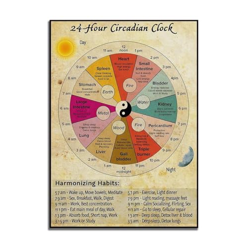 Baibexing 24 Stunden Biologische Uhr Poster, Organuhr Wandkunst, Tcm Wellness Wanddekoration, Alltagsroutine Leinwandbild 40X60Cm Kein Rahmen Baibexing 24 Stunden Biologische Uhr Poster, Organuhr Wandkunst, Tcm Wellness Wanddekoration, Alltagsroutine Leinwandbild 40X60Cm Kein Rahmen von Baibexing