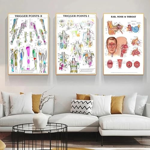 Menschliche Anatomie Trigger Punkte Diagramm Informative Leinwand Malerei Poster Drucke Wand Kunst Bild Wohnzimmer Hause Zimmer Dekoration 60X90Cmx3Pcs Kein Rahmen Menschliche Anatomie Trigger Punkte Diagramm Informative Leinwand Malerei Poster Drucke Wand Kunst Bild Wohnzimmer Hause Zimmer Dekoration 60X90Cmx3Pcs Kein Rahmen von Baibexing
