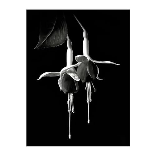 Schwarz Und Weiß Blumen Poster Drucke Leinwand Malerei Wand Kunst Bilder Für Wohnzimmer Schlafzimmer Wohnkultur A4 21X30Cm Kein Rahmen Schwarz Und Weiß Blumen Poster Drucke Leinwand Malerei Wand Kunst Bilder Für Wohnzimmer Schlafzimmer Wohnkultur A4 21X30Cm Kein Rahmen von Baibexing