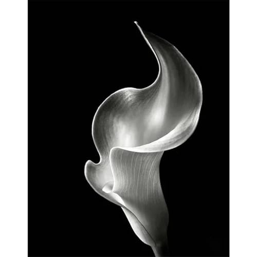 Schwarz Und Weiß Blumen Poster Drucke Leinwand Malerei Wand Kunst Bilder Für Wohnzimmer Schlafzimmer Wohnkultur A5 60X90Cm Kein Rahmen von Baibexing
