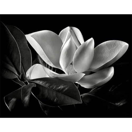 Schwarz Und Weiß Blumen Poster Drucke Leinwand Malerei Wand Kunst Bilder Für Wohnzimmer Schlafzimmer Wohnkultur A7 60X90Cm Kein Rahmen von Baibexing