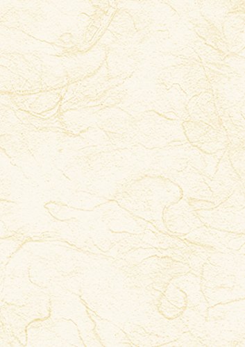 HEYDA Strohseide 50x70cm 25g chamois HEYDA Strohseide 50x70cm 25g chamois von Baier & Schneider