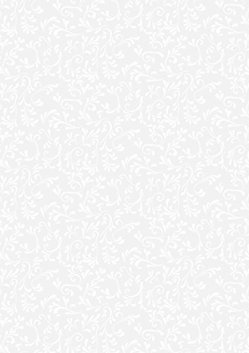 Baier & Schneider Heyda Transparentpapier 50x70 Roma weiß von Baier & Schneider