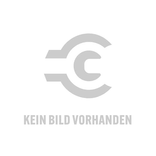 Baier Maschinenfabrik – 74989 Sockel Farbe von Baier