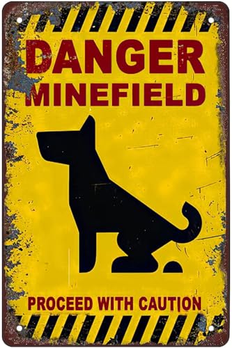 Metall-Blechschild mit Aufschrift "Danger Minefield", Warnschild, Sicherheitsschilder für Zuhause, Outdoor, Garten, 20,3 x 30,5 cm von Bailiers