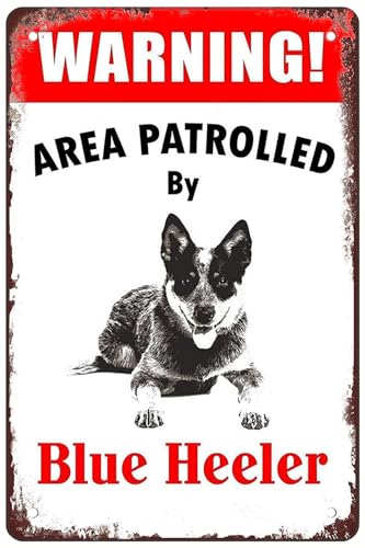 Metall-Blechschild mit Aufschrift "Warning Area Patrolled By Blue Heeler Dog", Warnschild für Zuhause, Outdoor, Garten, 20,3 x 30,5 cm von Bailiers