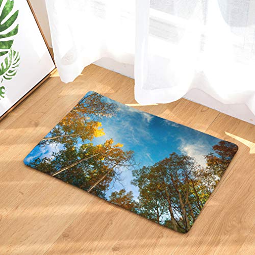 Baisheng Fußmatte Universal Türmatte Wasserabsorbierend Rutschfeste Outdoor Fußmatten Indoor Durable waschbar Weihnachten Teppich (Waldhimmel 6-15.7 * 23.6inch /40 * 60cm) von Baisheng