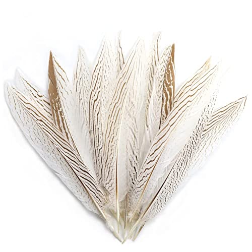 Fasan Federn 10Stück 40-45cm Natur Dekoration fasan Federn Fasanenfedern Natural Pheasant Feathers Schwanzfedern Tails Feather Länge Natur Fasan Schwanzfedern für Kostüme, Hüte, Zuhause Dekor von BakerMiche