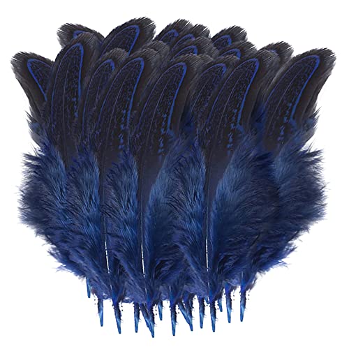 Truthahn Federn, Natur Federn zum Basteln Deko Bastelfeder 5-8cm Länge Truthahn Schwanzfedern Hutfeder für Kostüme basteln Zuhause Dekor DIY von BakerMiche