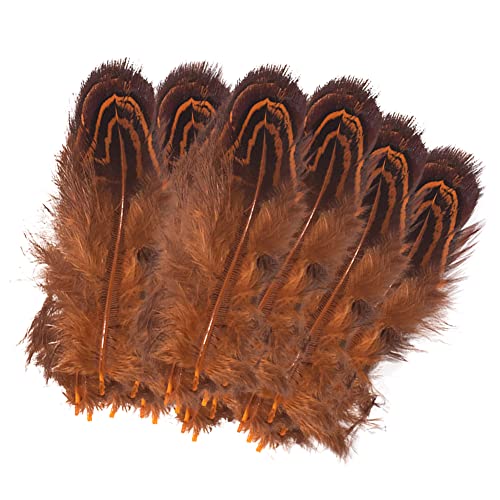 Truthahn Federn, Natur Federn zum Basteln Deko Bastelfeder 5-8cm Länge Truthahn Schwanzfedern Hutfeder für Kostüme basteln Zuhause Dekor DIY Truthahn Federn, Natur Federn zum Basteln Deko Bastelfeder 5-8cm Länge Truthahn Schwanzfedern Hutfeder für Kostüme basteln Zuhause Dekor DIY von BakerMiche