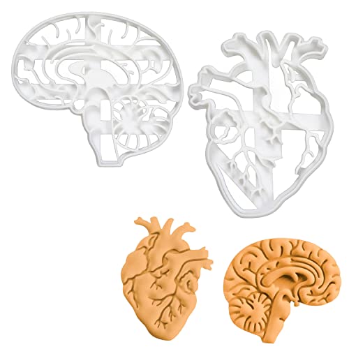 2er Set Anatomisches Herz und Gehirn Ausstechformen (Formen: Anatomisches Gehirn und Herz), 2 Teile, Bakerlogy von bakerlogy