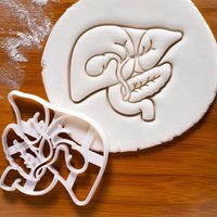 Gallenblase Ausstechform Anatomie von Bakerlogy