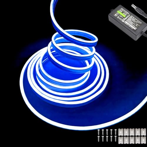 Balabaxer Blau Neon-LED-Streifenlichter, 16,4 Fuß/5 m 12 V DC 600 SMD2835 LEDs Wasserdichtes Lichtschlauch für Indoor Outdoor Home Decoration (mit Netzteil) von Balabaxer