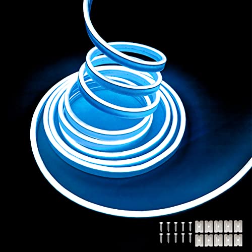 Balabaxer Eisblau Neon-LED-Streifenlichter, 16,4 Fuß/5 m 16,4 Fuß/5 m 12 V DC 600 SMD2835 LEDs Wasserdichtes Lichtschlauch für Indoor Outdoor Home Decoration (ohne Antrieb) von Balabaxer