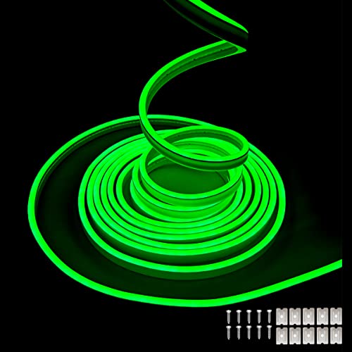 Balabaxer Grün Neon-LED-Streifenlichter, 16,4 Fuß/5 m 16,4 Fuß/5 m 12 V DC 600 SMD2835 LEDs Wasserdichtes Lichtschlauch für Indoor Outdoor Home Decoration (ohne Antrieb) von Balabaxer