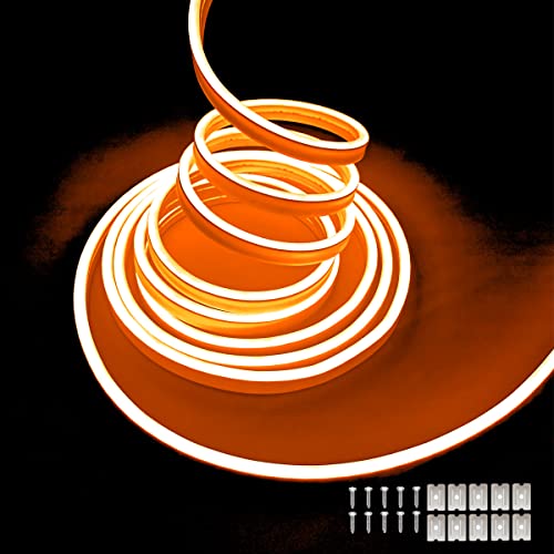 Balabaxer Orange Neon-LED-Streifenlichter, 16,4 Fuß/5 m 16,4 Fuß/5 m 12 V DC 600 SMD2835 LEDs Wasserdichtes Lichtschlauch für Indoor Outdoor Home Decoration (ohne Antrieb) von Balabaxer
