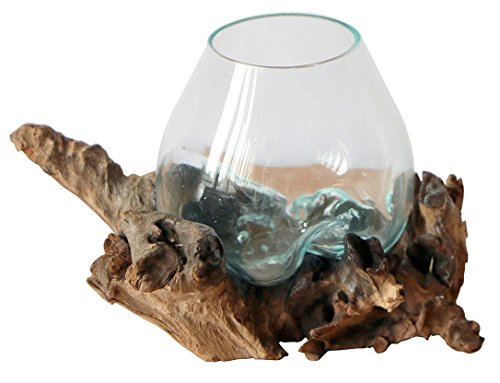 Geschenk-Idee für Weihnachten Geburtstag als Deko - Glas-Vase Ø Glas 12-13 cm - aus Gamal Wurzel-Holz Teakholz Glas S von Wogeka