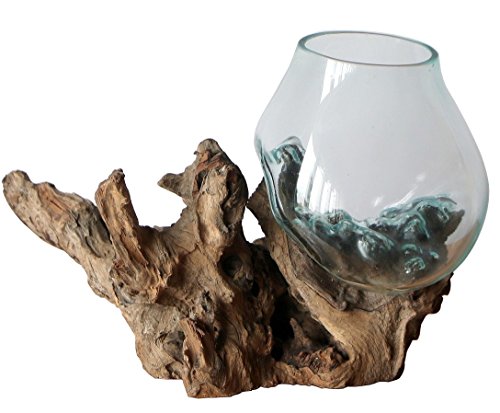 Geschenk Deko Gamal Wurzelholz B-Ware Glasvase Ø Glas 17-19 cm Wurzel Holz Teakholz Vase Glas L Geschenk Deko Gamal Wurzelholz B-Ware Glasvase Ø Glas 17-19 cm Wurzel Holz Teakholz Vase Glas L von Wogeka